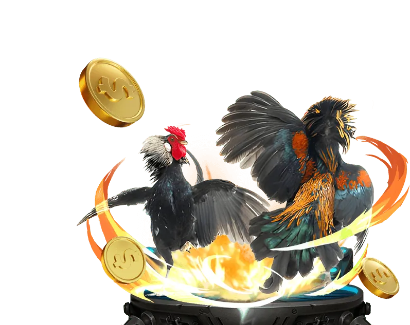 Hình ảnh cá cược Đá Gà